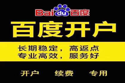 SEM服务案例：实现精准营销
